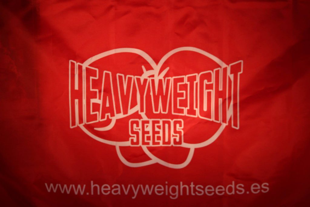 mochilas personalizadas heavyweight